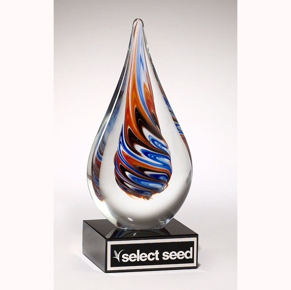 art glass teardrop shaped award with standard engraving