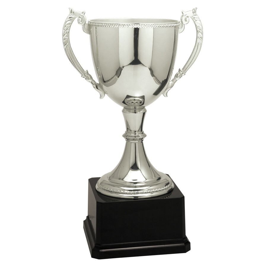 Engravable Quality Zinc Gold or Silver Colored Trophy Cups In 5 Sizes