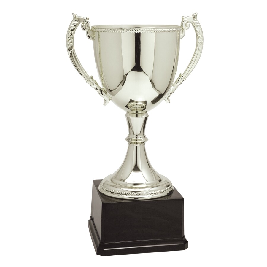 Engravable Quality Zinc Gold or Silver Colored Trophy Cups In 5 Sizes