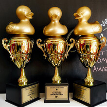 3 painted duck trophies