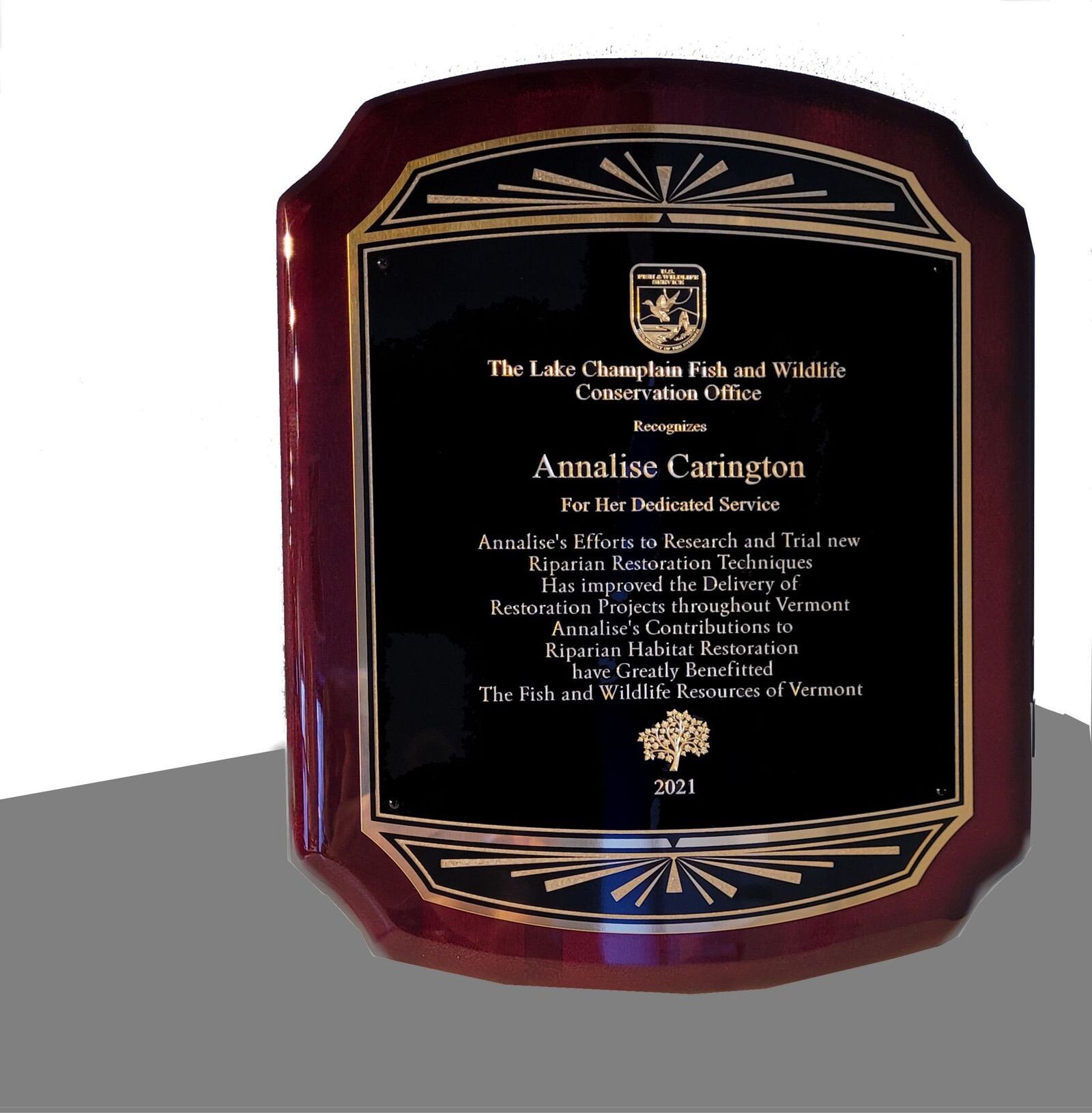 Rosewood Arched Award Plaque