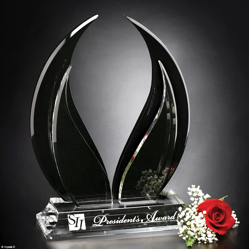 Black and Clear Wings Award